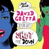 David Guetta、Skylar Grey - Shot Me Down