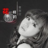夏婉安 - 公主病