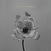 The Naked and Famous - A Stillness