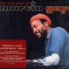 Marvin Gaye - What's Going On (Album Version)