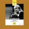 Radio-Sinfonieorchester Stuttgart、Sergiu Celibidache - Bruckner: Symphony No. 3 in D Minor, WAB 103 - Ed. Nowak: I. Gemäßigt, mehr bewegt, misterioso