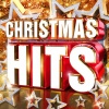 Andy Williams - It's The Most Wonderful Time Of The Year
