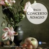 Andrei Gavrilov、Academy of St Martin in the Fields、Neville Marriner - II. Largo