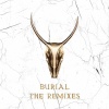 Yogi - Burial (Skrillex & Trollphace Remix)