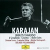 Berliner Philharmoniker、Herbert von Karajan - I. Dreams of a Winter Journey (Allegro tranquillo)