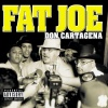 Fat Joe - Courtroom Intro (Explicit)