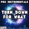 Pro Instrumentals - Turn Down For What[Originally Performed by DJ Snake & Lil Jon] (Karaoke Version)