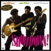 Robert Cray、johnny copeland、albert collins、Aaron Walker - T-Bone Shuffle