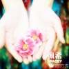 佩希 - 爱你的方式