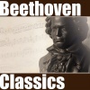 Ludwig van Beethoven、Beethoven Band - Ode to Joy