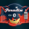 G2、SWAY D、REDDY - Paradise