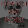 Flash Ki - I Knew You Were Trouble