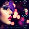 Joshua - Are You with Me (Remixed Version)