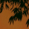 屠苏 - 春风吹