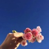 DJ沈念 - 别的小朋友都回家了你怎么还不来接我