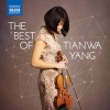 杨天娲、Ernest Martínez Izquierdo、Navarre Symphony Orchestra - IV. Allegro moderato