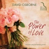 David Osborne - (Everything I Do) I Do It For You