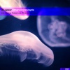 Blugazer - Ethereal Concepts (Original Mix)