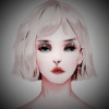 若南寻 - 我们喵星人就是这么拽