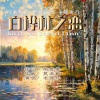 李强年 - 白桦林之恋