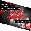 Dzeko、Delaney Jane、Torres - L'amour Toujours (Tiesto Edit)