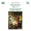 Villa Musica Ensemble、Jean Claude Gerard - I. Allegro