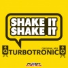 Turbotronic - Shake It Shake It (Original Mix)