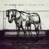 The Wonder Years - Raining in Kyoto