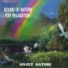 Anjey Satori - The Rain