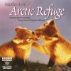 Matthew Lien - Heart Of The Refuge (北极心)