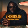 Vegedream、H Magnum - Tout casser (Explicit)