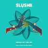 Slushii、Sofia Reyes - Never Let You Go (feat. Sofia Reyes)(MOTi & Terry McLove Remix)