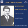 Artur Schnabel - I. Allegro