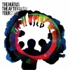 the HIATUS - The Afterglow (Live at NHKホール / 2012)