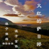 浪子强涛、浪子金依、涛依音乐 - 法制社会救了你 (Remix)