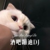 胸毛少女 - 酒吧蹦迪DJ (Remix)
