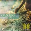 Digital Rain - My Dreams of You
