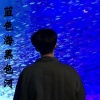 张有道 - 蓝色海黑色河