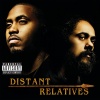Nas & Damian 