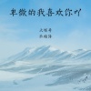 大辉哥、刘星瑞LVH - 错的时间错的地点遇到对的人 (DJ弹鼓版)