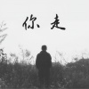 零凌 - 你走