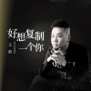 王韵 - 好想复制一个你