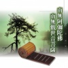 吴淑娟、林正明 - 南無阿彌陀佛佛號 (男女合唱版)