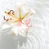 忘川 - Beautiful