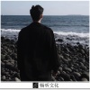 引燃 - 下山 (DJ版)