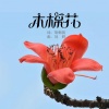 刘佳JiaJia - 木棉花