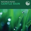David Arkenstone - Prelude (Gentle Rain Album Version)