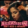 DJ KING ASSASSIN、Craig Stevens - Don't Need U Anymore