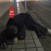 神乐、圈妹、抖音热歌、DJ蚕豆好吃 - 谢谢侬
