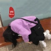 苦尽甘来Music、DJ YiXiu、小奶瓶、池娅 - 迷失幻境 (DJ版)
